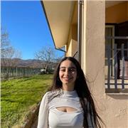 Ripetizioni di matematica e fisica in presenza