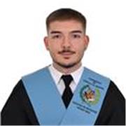 Profesor de educación primaria en varias áreas