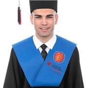 Maestro de primaria con experiencia previa