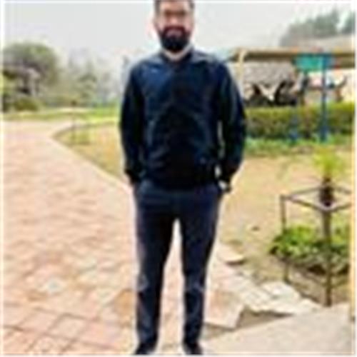 user photo
