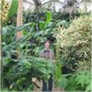 Biology tutor with an undergraduate degree based in Leeds. Can tailor lessons to GCSE/A-Level.