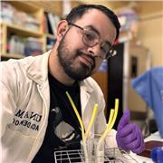 Maestro en ciencias en el área de nano toxicología, donde se enfoca en las áreas de biología, química y física entre otras