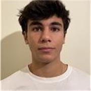 Profesor de inglés joven, para niños menores de 16 años. Alto nivel.