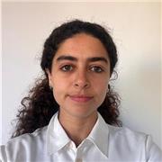 Bilingual English Teacher for Face-to-Face Classes