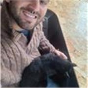 Profesor de inglés con experiencia en el sector académico y técnico, apto para estudiantes de todas las disciplinas