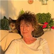 Profesora de matemáticas con amplia experiencia (34años). 
Daría clases en remoto a alumnos de cualquier nivel 