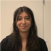 Providing lessons to students up to GCSE level