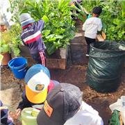 AGRONOMIA PARA HUERTOS ECOLARES ECOLÓGICOS. AGRONOMÍA: COMPOSTAJE, BIOLOGÍA, GEOLOGÍA, BOTÁNICA APLICADA AL HUERTO ESCOLAR