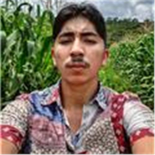 user photo