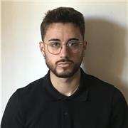 Profesor de lengua castellana y literatura