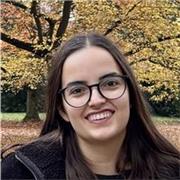 Erfahrener Nachhilfelehrer für das Fach Mathematik