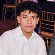 Clases de Programación (Fundamentos, Python, SQL, APIs) — Estudiante UAQ