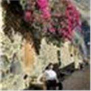 Profesor de inglés para todas las edades