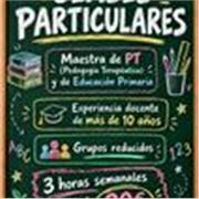 Clases de refuerzo en Primaria con especialista en Pedagogía Terapéutica 📚