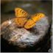 Vous avez besoin d'aide pour l'apprentissage de cette langue étrangère ,Je suis motivée pour vous accompagner et vous aider. 