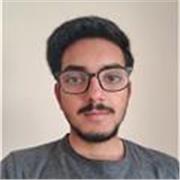 I hold proficiency in high school maths and physics and professional experience in the field of computer science