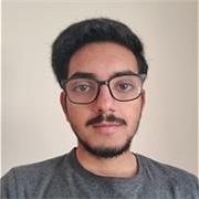 I hold proficiency in high school maths and physics and professional experience in the field of computer science