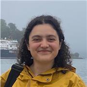 Experienced Native French tutor here to help you better your French language skills, spoken and written, from elementary level!