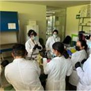 Maestra de Química, presencial nivel Bachillerato y Universidad