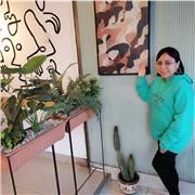 Dicto clases particulares de ofimática online a jóvenes y adultos que requieran afianzamiento en el tema, con paciencia y amor