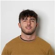 Dottore in ingegneria informatica offre lezione su diversi linguaggi (python, Java, c ecc) ma anche su protocollo HTTP e altri