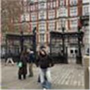 Soy estudiante , Tengo un B2 y actualmente estoy cursando el C1 en inglés