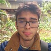 Profesor de matemáticas y física para todos los niveles escolares, clases virtuales personalizadas