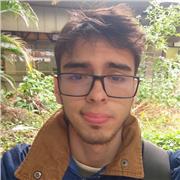 Profesor de matemáticas y física para todos los niveles escolares, clases virtuales personalizadas
