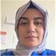 Elif