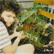 erfahrene Übersetzerin arbeitet hiermit für Sie