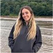 Doy clases de apoyo y repaso escolar, presenciales u online, de todas las materias básicas de primaria