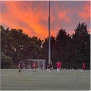 Clases personales en diferentes deportes, prácticas de actividad física ( fitness, funcional, cross fit etc.)