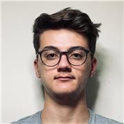 Studente di ingegneria del veicolo presso l’università degli studi di Modena e Reggio Emilia propone lezioni di matematica, fisica