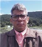 Profesor de lengua castellana y literatura para todos los niveles de formación académica