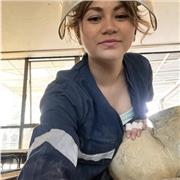 Licenciada en Artes y estudiante del Programa de Formación Pedagógica en Educación Media. Experiencia impartiendo talleres de arte