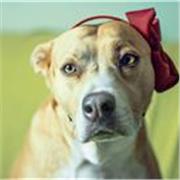 Realización de audiovisuales y espectáculos