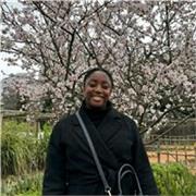 Supportive Psychology Tutor | Honours Graduate & MSc Student