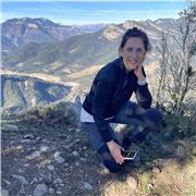 CLASES PARTICULARES PRESENCIALES/ ON LINE (SEVILLA)