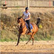 Soutien scolaire niveau primaire, collège