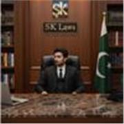 I am a lawyer with experience in presentations, practical skills, experience in cross examination and English 