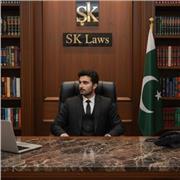 I am a lawyer with experience in presentations, practical skills, experience in cross examination and English
