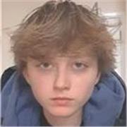 I give affordable english for low to medium levels as a gcse subject