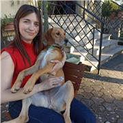 Offro ripetizioni individuali e di gruppo per preparazione esami e compiti.