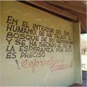 Educadora Artística y Psicóloga que integra las artes con la Psicología para ayudar en el aprendizaje y el bienestar