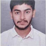 Masters Student with a Profound English background