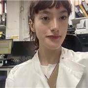 I provide affordable online tutoring sessions