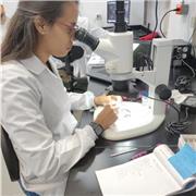 Bióloga con experiencia en ecología, biodiversidad y divulgación científica