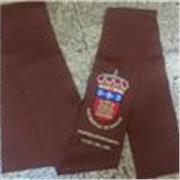 Ingeniera informática titulada que imparte clases de matemáticas y física de forma presencial 