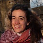 Insegnante con esperienza offre ripetizioni di italiano e storia