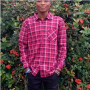 I am a private tutor for both beginners and intermediate.